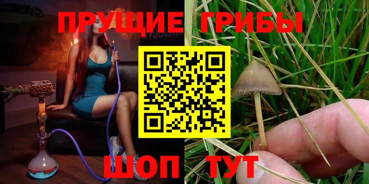 Псилоцибиновые грибы GOLDEN TEACHER Мичуринск